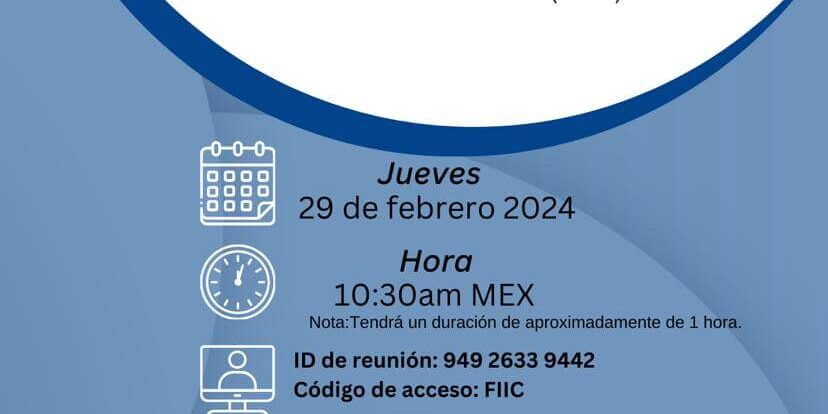 IMG-20240221-WA0000 FIIC webinar - how to tender and execute projects of the united nations office for project services (unops) and the world bank